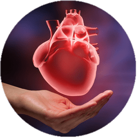 Heart Care Img for health care
