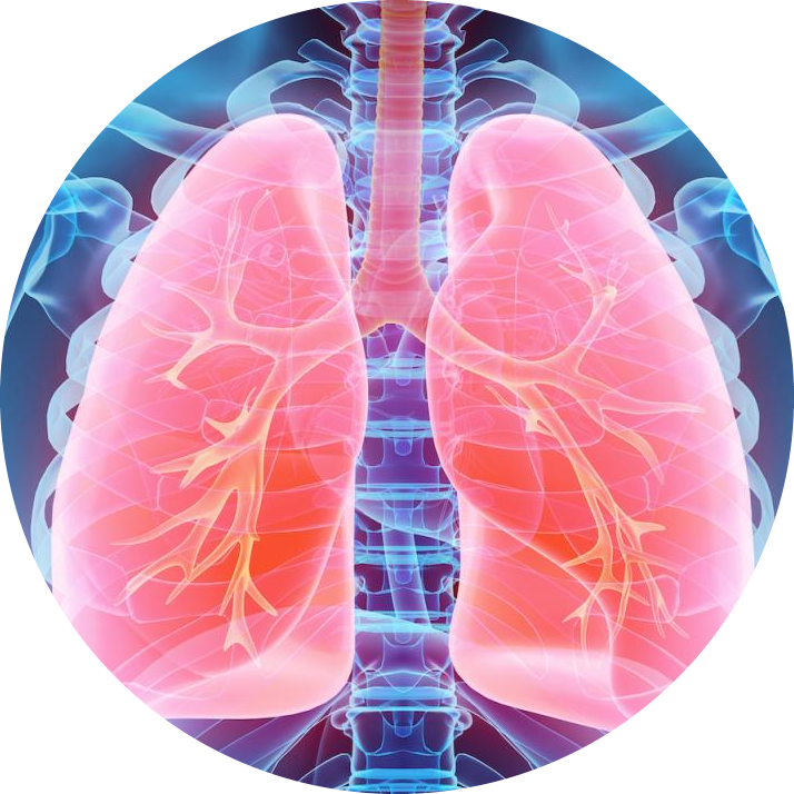 lungs care img for health care
