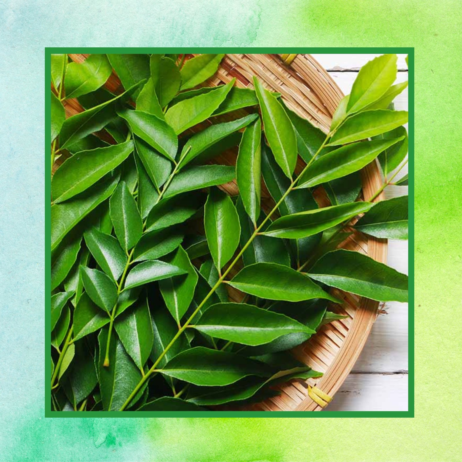 CURRY LEAVES DS1