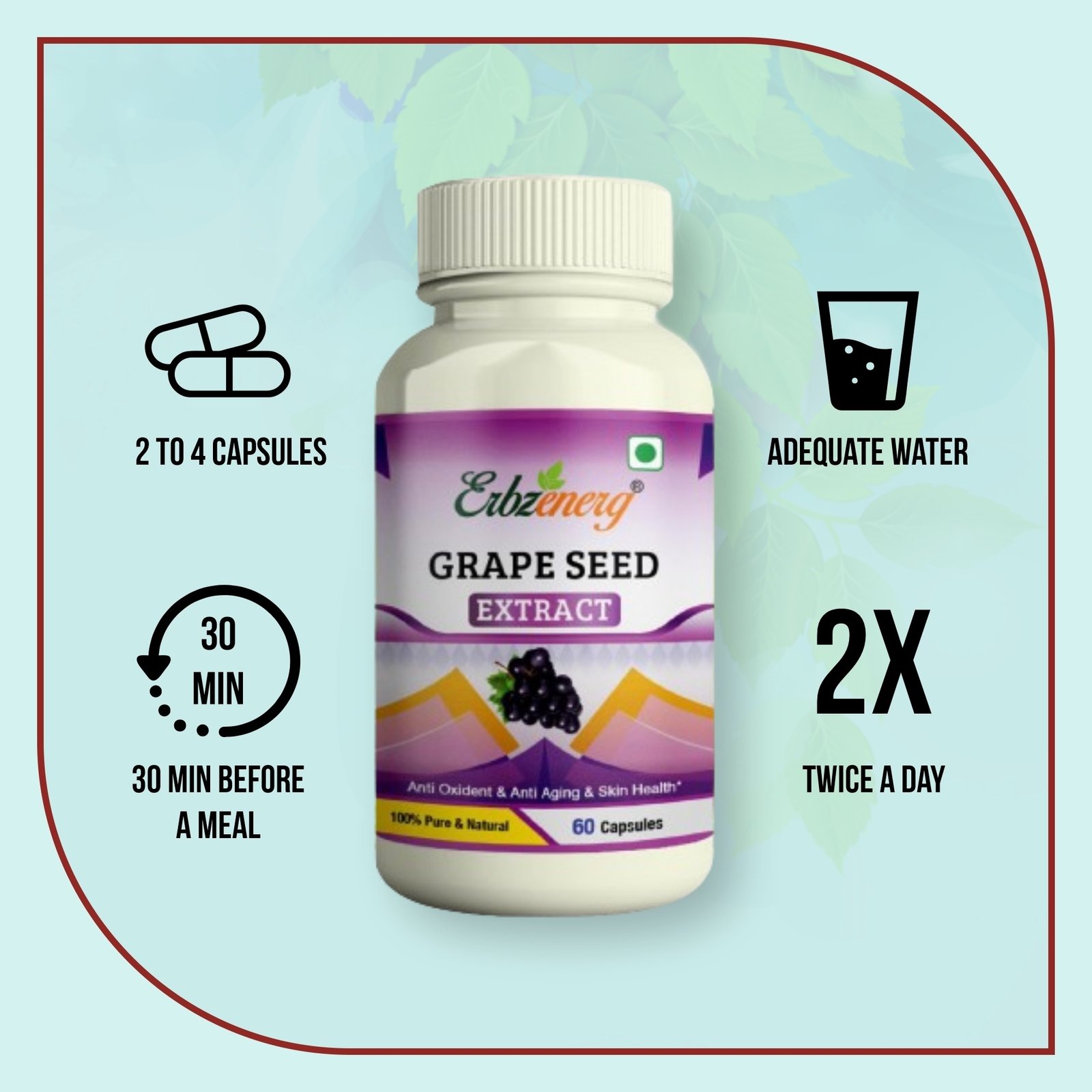 GRAPE SEED DS3