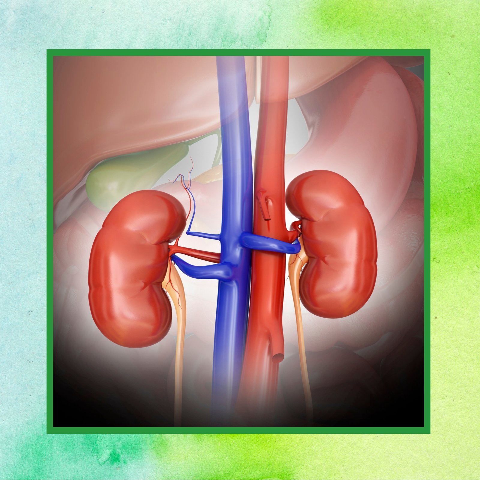 kidney Care DS Img (right) - 2